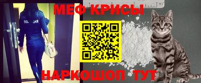 стаф Боровичи