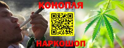 стаф Боровичи