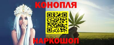 стаф Боровичи