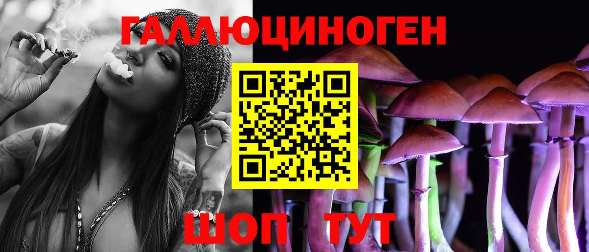 Псилоцибиновые грибы Psilocybe  Вход с VPN  Горно-Алтайск 